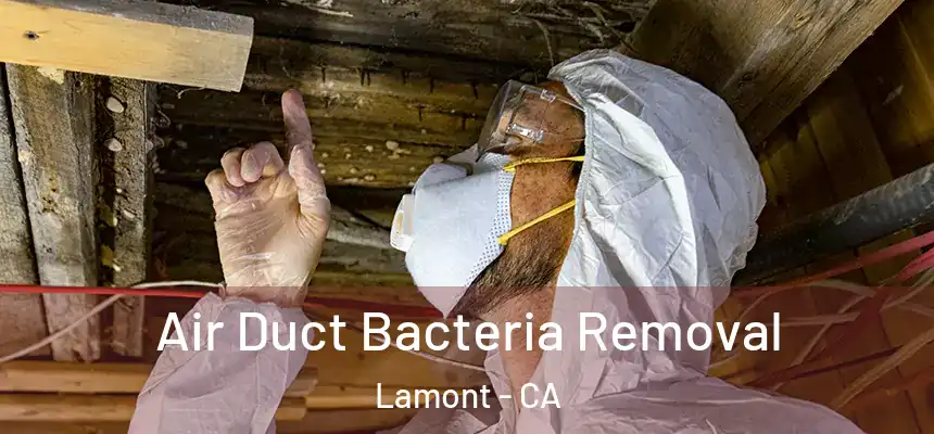  Air Duct Bacteria Removal Lamont - CA