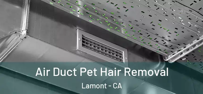  Air Duct Pet Hair Removal Lamont - CA