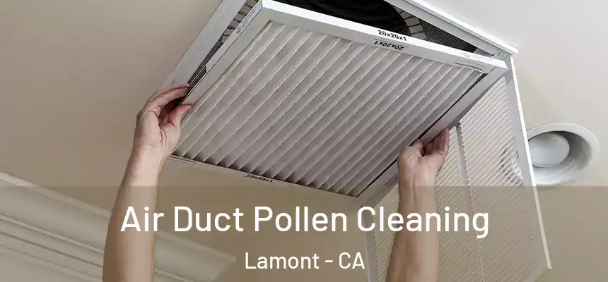  Air Duct Pollen Cleaning Lamont - CA