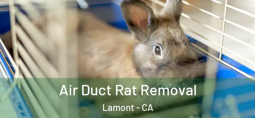 Air Duct Rat Removal Lamont - CA