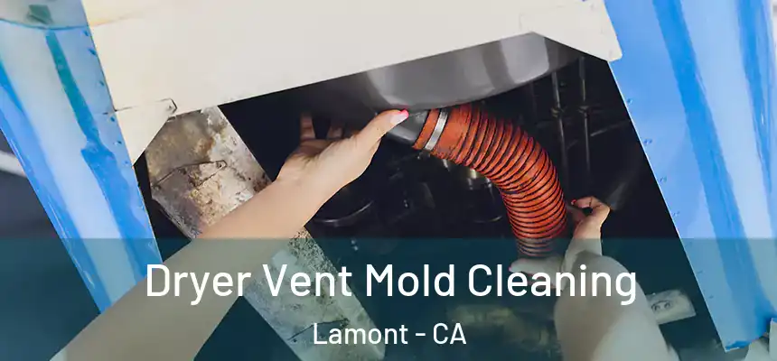  Dryer Vent Mold Cleaning Lamont - CA