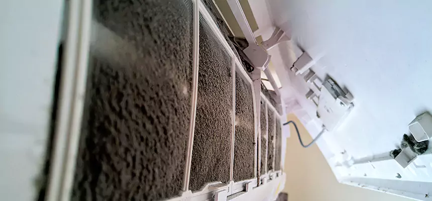 Preventive Air Duct Bacteria Removal in Lamont