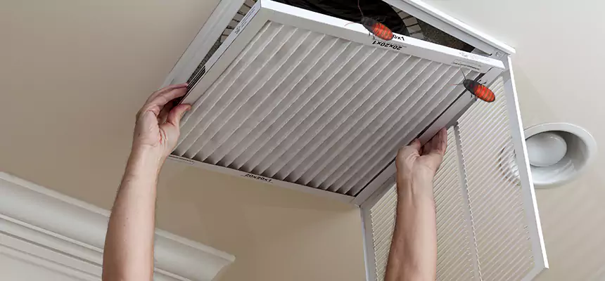 Preventive Cockroach-Proofing for Ducts in Lamont