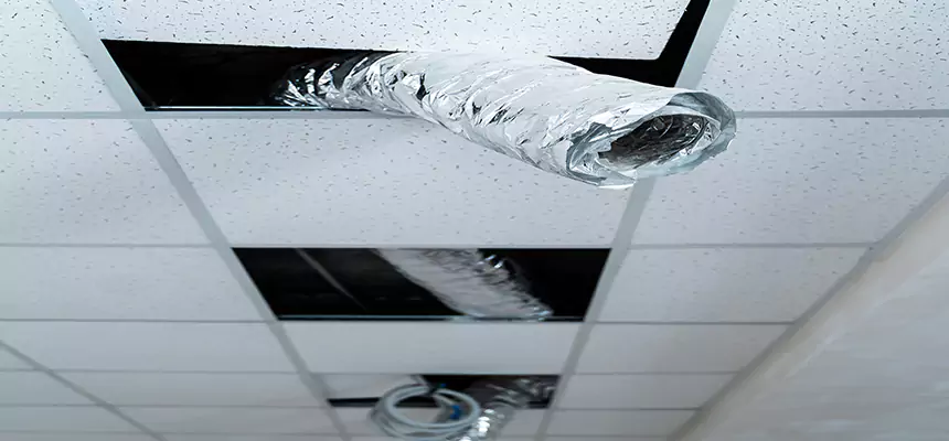 Our Air Duct Pet Hair Removal Services in Lamont, CA