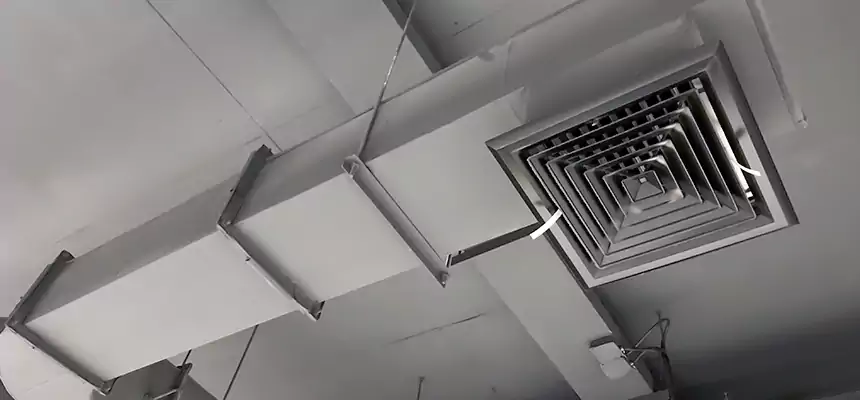 Our Pest Removal From Ducts Services in Lamont, CA