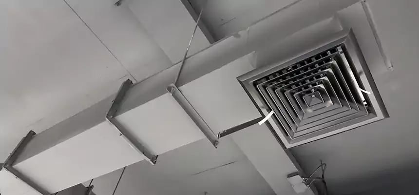 Our Rodent Droppings In Vents Services in Lamont, CA