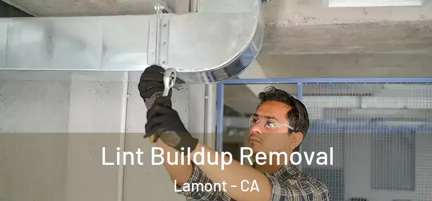  Lint Buildup Removal Lamont - CA