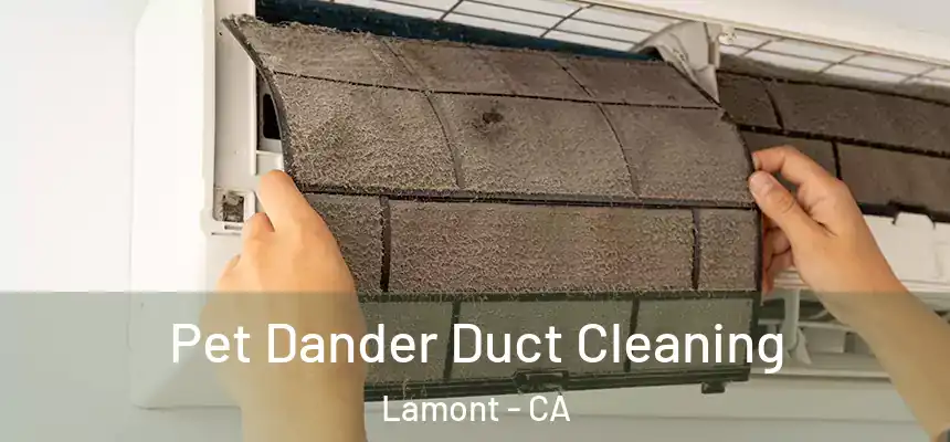  Pet Dander Duct Cleaning Lamont - CA