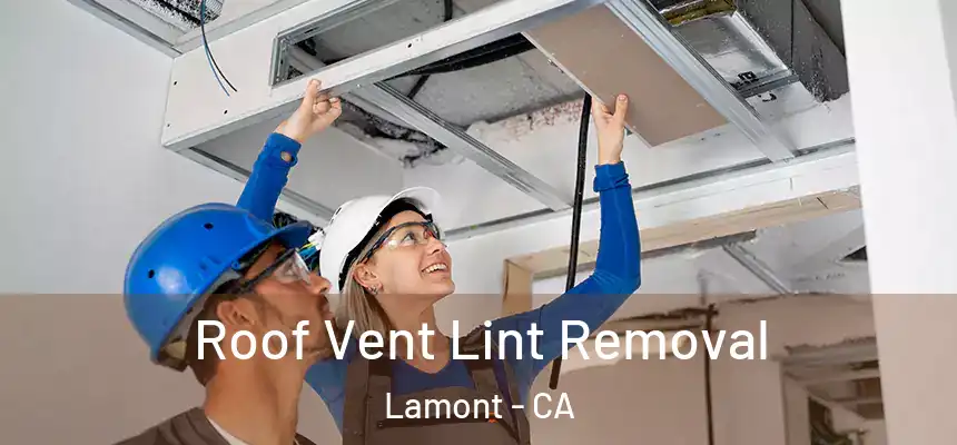  Roof Vent Lint Removal Lamont - CA