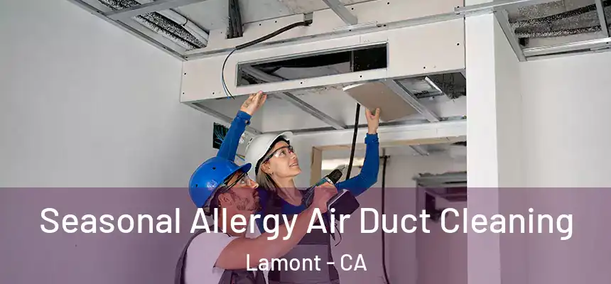  Seasonal Allergy Air Duct Cleaning Lamont - CA