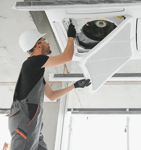 About Air Duct Rodent Removal in Lamont, CA