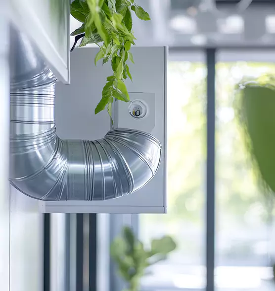 Professional Eco-Safe Dryer Vent Cleaning in Lamont, CA