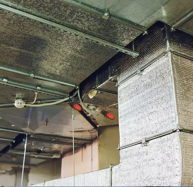 Why Homeowners & Businesses Trust Us in Lamont, CA?