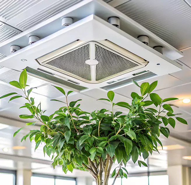 Why Homeowners & Businesses Trust Us in Lamont, CA?